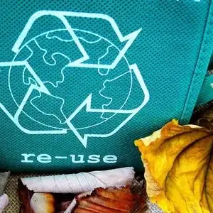 A bag for recyclable rubbish surrounded by brown leaves.